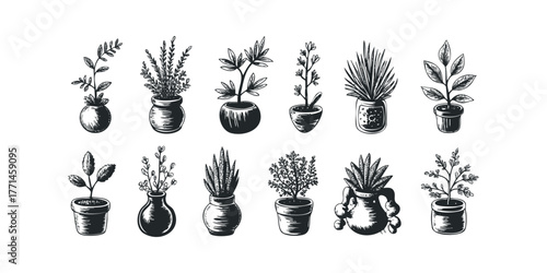 Collection of Potted Plant Illustrations in Sketch Style