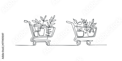 Two Shopping Carts Filled with Potted Plants