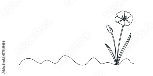 Single line drawing of a blooming flower and bud