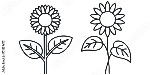 Two simple line drawings of sunflowers with leaves