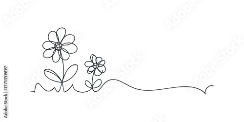 Minimalist line drawing of two flowers and a stem