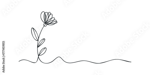 Single line drawing of a delicate flower and stem with leaves