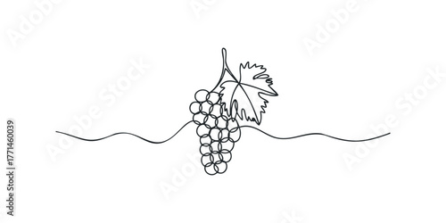 Minimalist single line drawing of a grape cluster with leaf