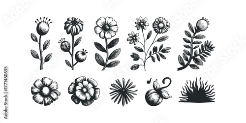 Collection of Hand Drawn Floral Botanical Elements
