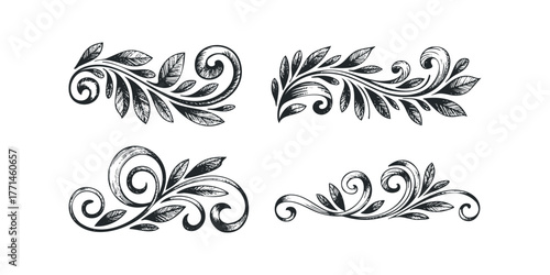 Ornamental Flourish Vines and Leaves Sketch
