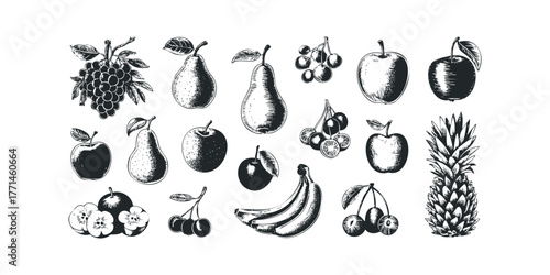 Collection of Hand Drawn Fruit Illustrations in Black and White