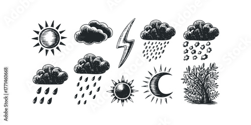 Weather symbols including sun, clouds, rain, storm, and plant