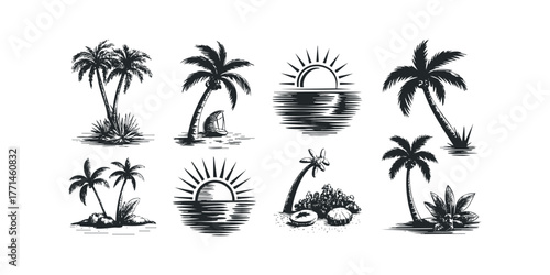 Tropical palm trees and coastal scenes in black and white