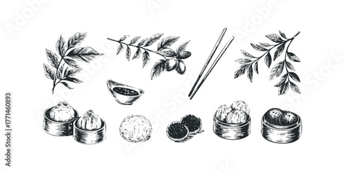 Hand Drawn Asian Dumplings with Leaves and Chopsticks