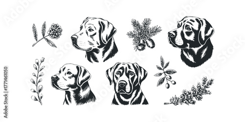 Dog head portraits with botanical and festive embellishments