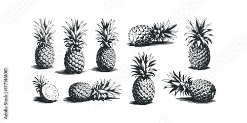 Collection of Hand Drawn Pineapples in Various Poses