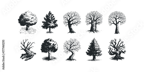 Collection of Ten Stylized Tree Silhouettes