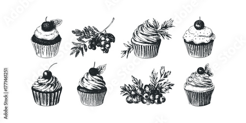 Hand Drawn Cupcakes and Berries Collection