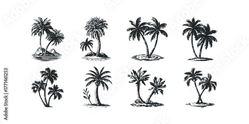 Collection of Palm Tree Silhouettes on Tropical Islands