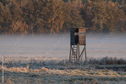 A SUNNY AUTUMN MORNING - A hunting blind among fields and meadows with frost and fog
