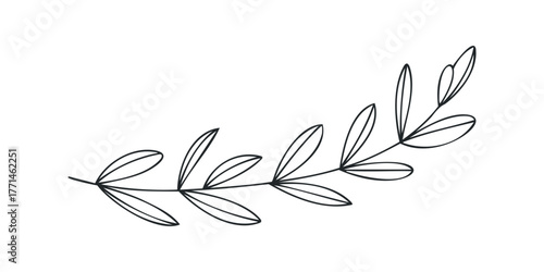 Minimalist Black Line Art Olive Branch with Leaves