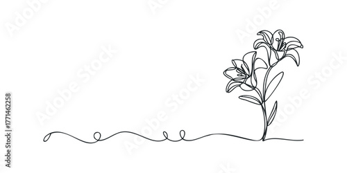 Line Drawing of Lily Flowers and Wavy Line