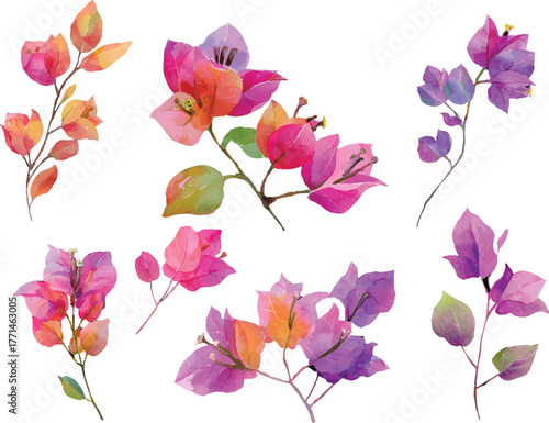 Bougainvillea flower design
