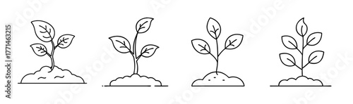 Green sapling sprout illustration vector scalable growing tree icon