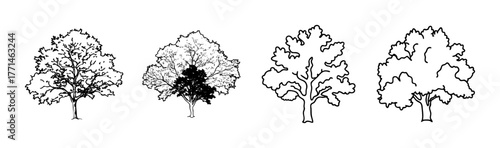 Scalable oak tree silhouette vector illustration