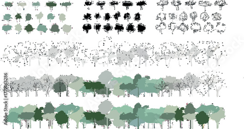 Tree Elevation and Plan Architectural Drawings | Set of Trees for Landscape Design Plans, Illustrations and Architecture Visualization
