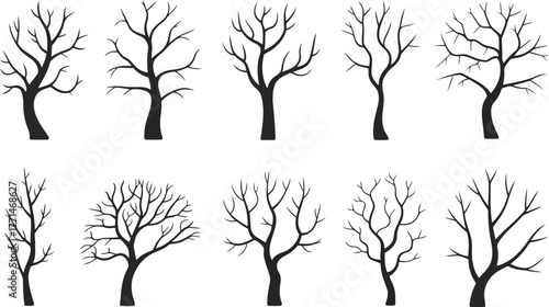 Collection of bare deciduous trees in silhouette against a white background