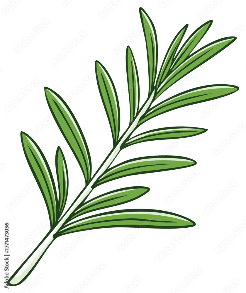 Fototapeta premium Stylized Rosemary Sprig Illustration: Bright Green Leaves and Branch for Culinary Herbs