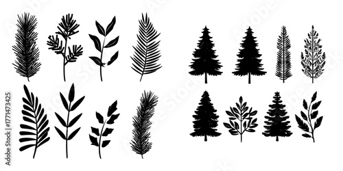 The collection features forest trees, green plants, and natural botanical floral elements in a modern simple style, including fir conifer and leaf vegetations