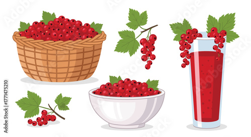 Delicious redcurrant juice made from fresh berries in a bowl and basket, a healthy treat for a vibrant lifestyle, perfect for summer recipes