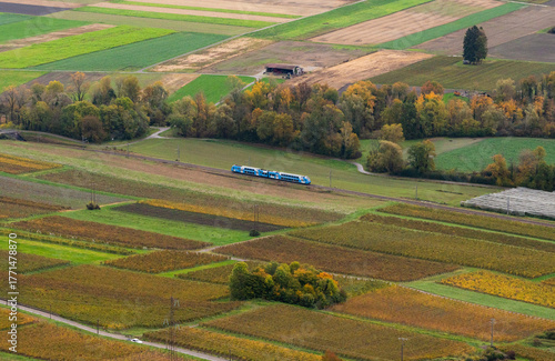 An aerial panorama view of row of vineyard in French alps in Savoie region and village while train passing surrounded with golden color trees and nature during autumn