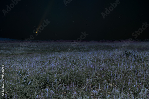 Starlit landscape with comet over a field at night.Starlit landscape with comet over a field at night.