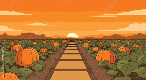 Vibrant pumpkin patch stretches towards a warm sunset, promising bountiful autumn harvest and festive fall celebrations