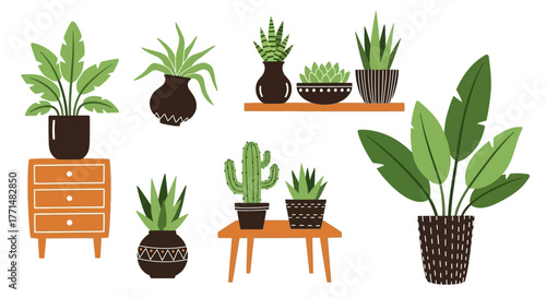 Collection of various potted plants and furniture, including a dresser and a table, with lush green foliage