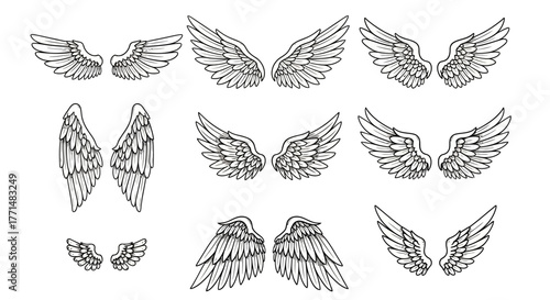 Wings Collection A Variety of Angelic and Mythical Flight Illustrations