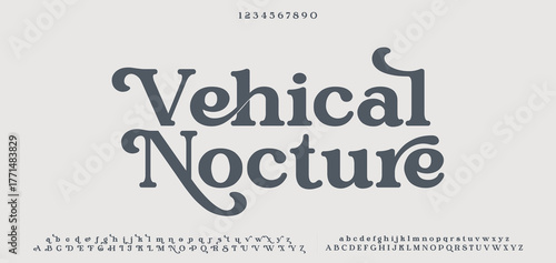 Vehical premium luxury arabic alphabet letters and numbers. Elegant islamic typography ramadan wedding serif font decorative vintage. Creative vector illustration