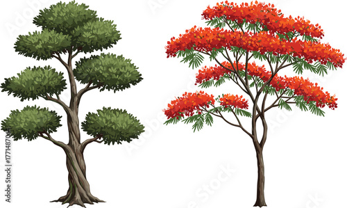 Beautiful green and red trees illustration, blooming forest plants, tropical nature design, natural landscape, botanical art, eco friendly environment concept