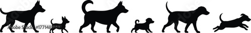 Dog growth stages silhouette illustration showing puppy to adult evolution, animal life cycle, pet development, domestic dog evolution concept.