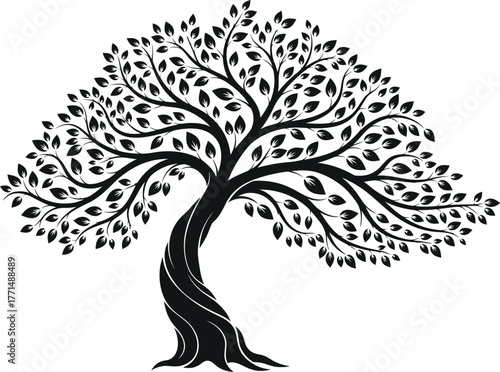 Abstract silhouetted ancient olive tree with twisted trunk majestic growth symbol vector