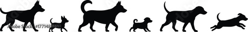 Dog life stages silhouette illustration showing puppy to adult growth, animal evolution, pet development, canine lifecycle, domestic dog concept.