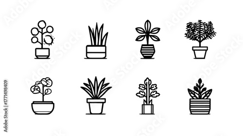 Minimalist Line Art Icons Set of Various Potted Houseplants and Indoor Plants, Vector Outline Illustrations Collection