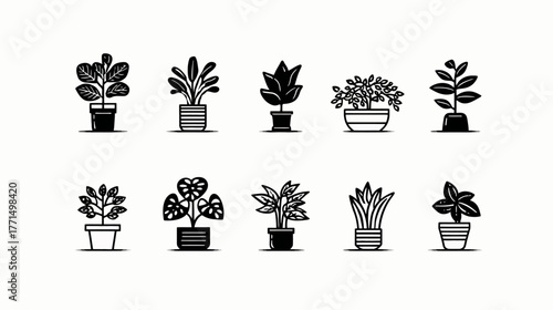 Stylized black and white vector icons of potted houseplants. Diverse indoor plants in pots, minimalist graphic elements for home decor.