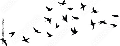 Flying birds silhouette illustration, flock of birds in sky, wildlife freedom concept, nature migration pattern, black vector design art.