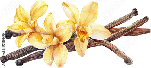 vanilla pods 