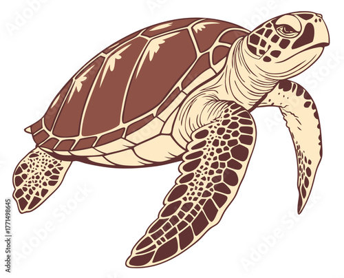 Sea turtle illustration in brown and cream colors swimming gracefully  