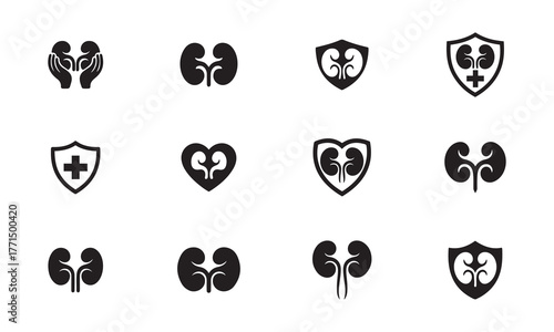 Kidney Health and Organ Protection Black Icon Set
