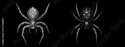 Detailed Close-Up of Two Colorful Spiders with Intricate Patterns on Their Bodies