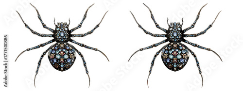 Detailed Close-Up of Two Colorful Spiders with Intricate Patterns on Their Bodies