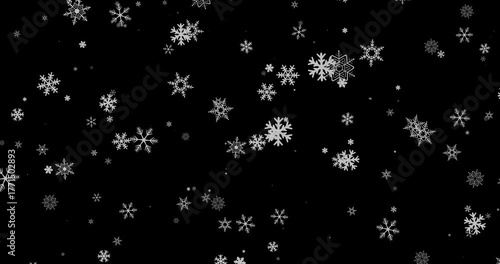 Beautifully Delicate Snowflakes Gently Falling in a Looping Animation Against a Dark Background, Creating a Serene Winter Atmosphere and Captivating Visual Effect