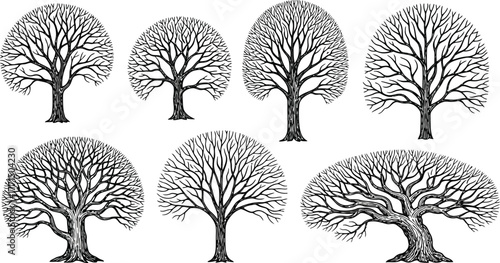 Collection of bare winter trees in silhouette, showcasing different shapes of deciduous tree icons and illustrations