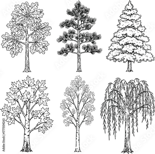 Collection of diverse tree silhouettes illustrating various plant species and forest ecosystems suitable for nature design projects